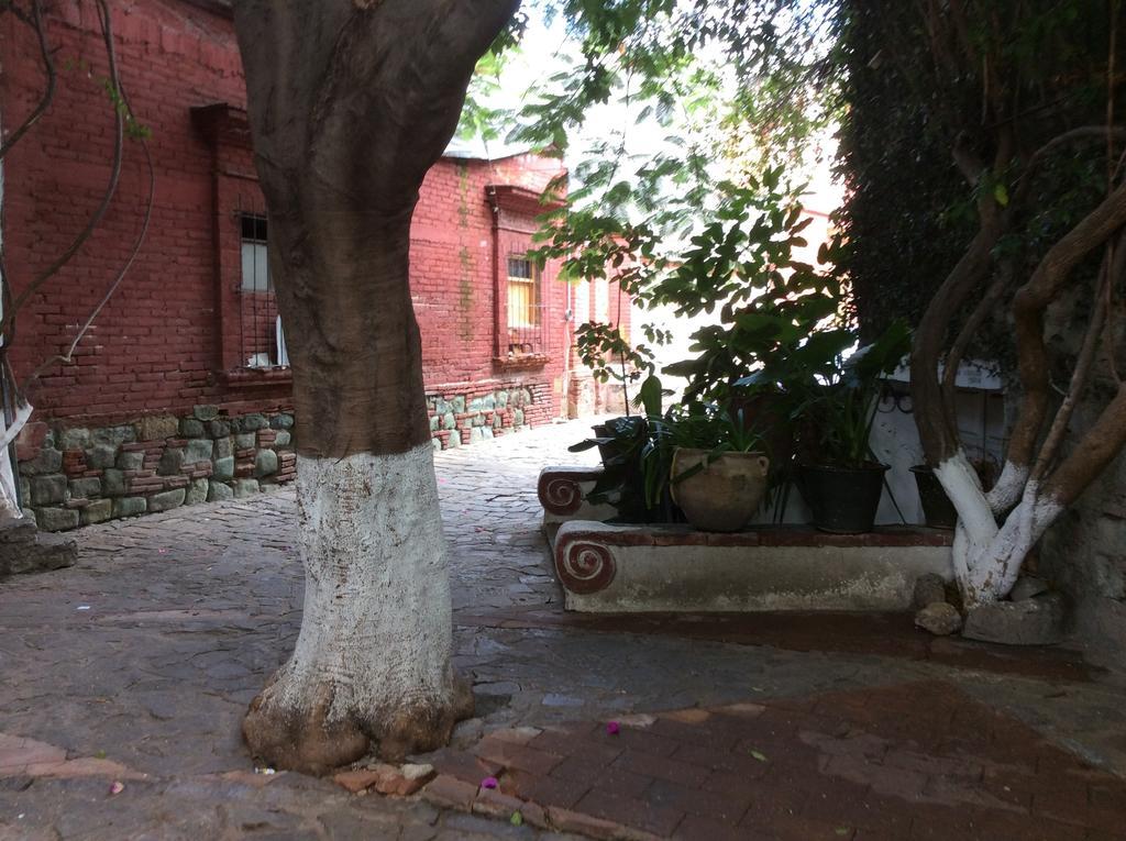 Casa Mixteca Santo Domingo Oaxaca Villa Bagian luar foto