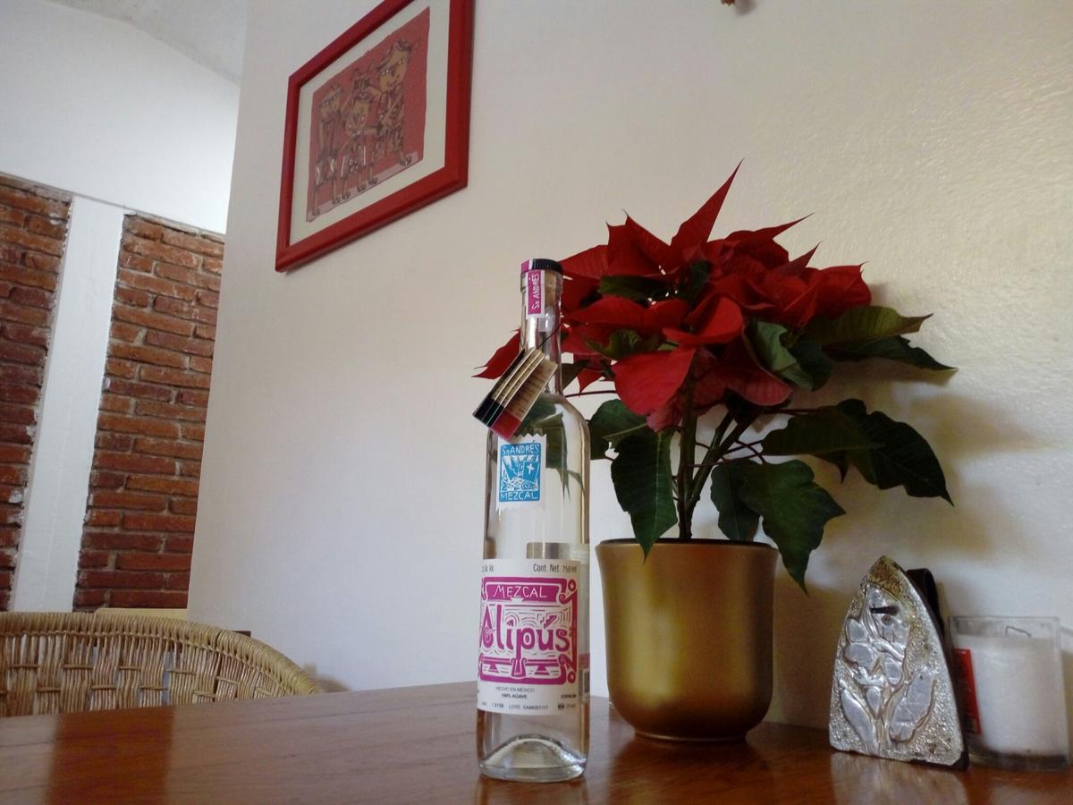 Casa Mixteca Santo Domingo Oaxaca Villa Bagian luar foto